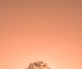 合肥哪些医院可以捐卵，附捐卵机构选择技巧！